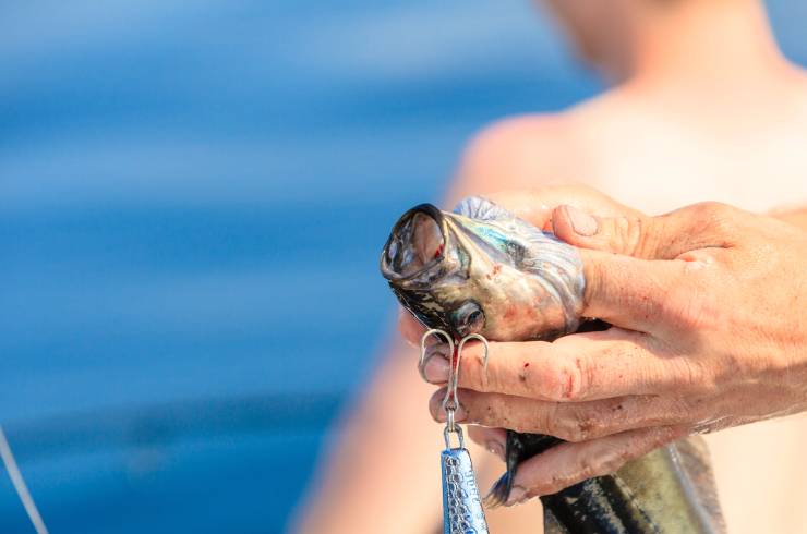 Bolo Fishing Charters