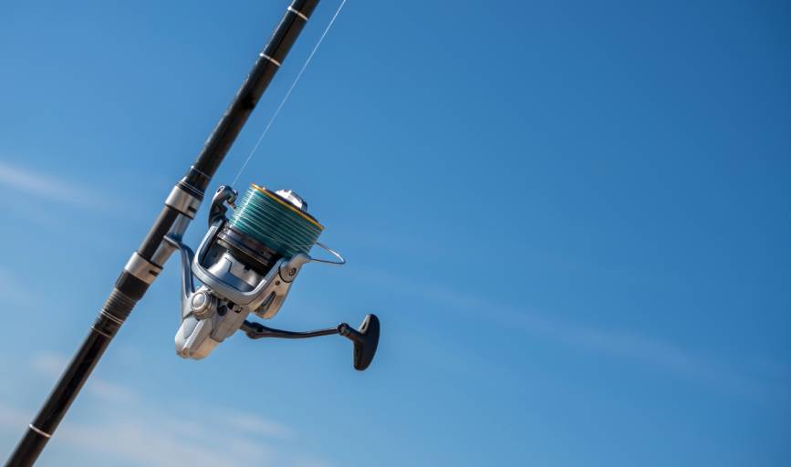 Bolo Fishing Charters