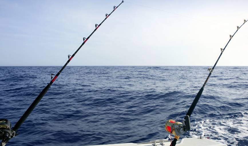 Bolo Fishing Charters